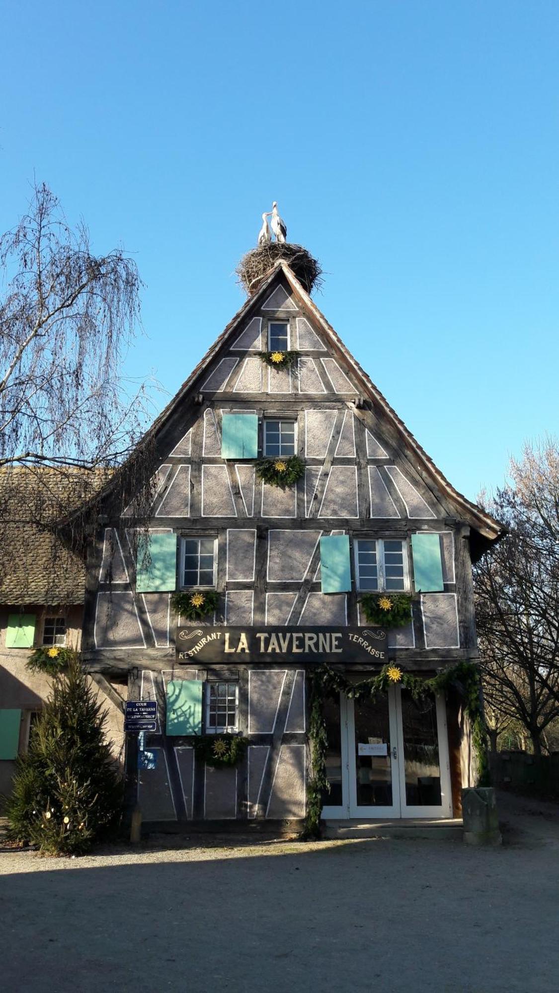 Les Loges de l'Ecomusée D'Alsace Ungersheim Exterior foto