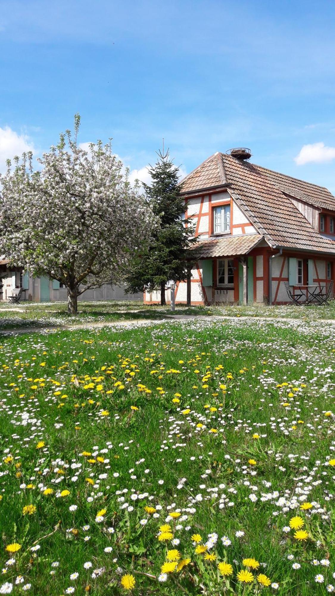 Hotel Les Loges de l'Ecomusée D'Alsace Ungersheim Exterior foto