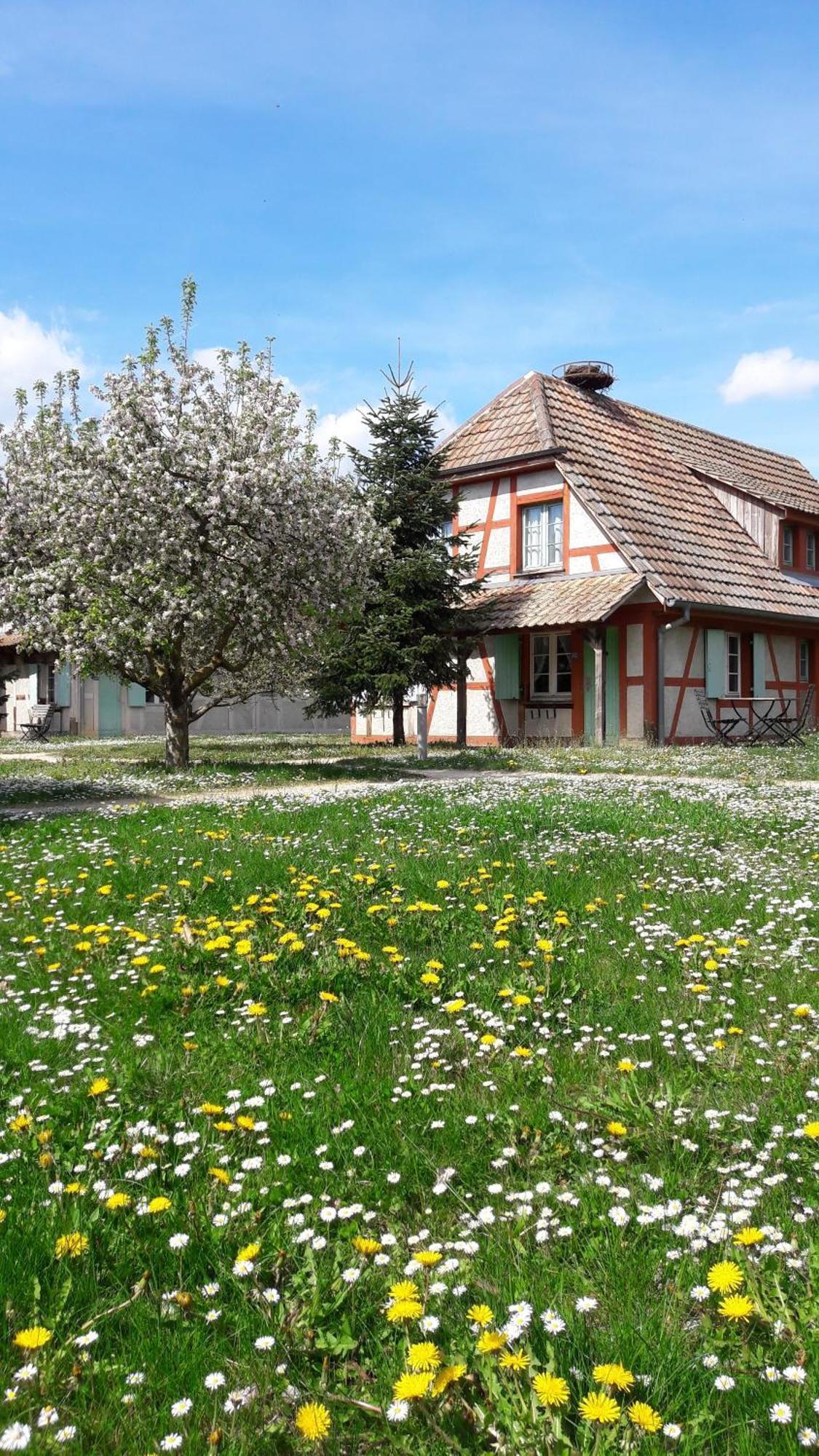 Les Loges de l'Ecomusée D'Alsace Ungersheim Exterior foto