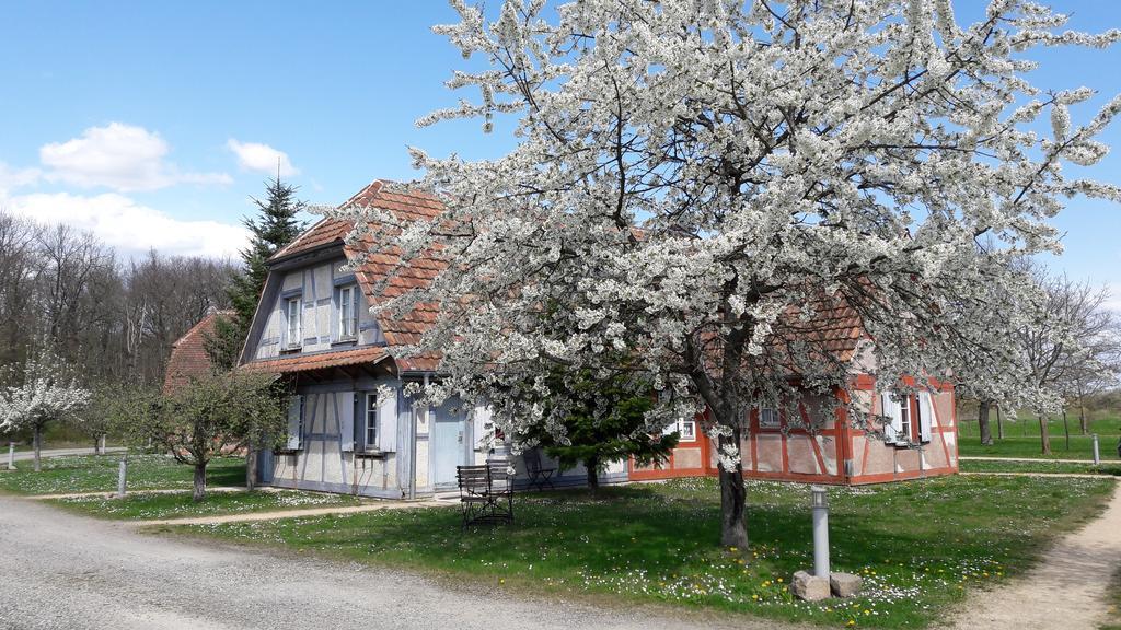 Hotel Les Loges de l'Ecomusée D'Alsace Ungersheim Exterior foto